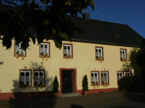 Snug Apartment in Morbach-Riedenburg with Terrace